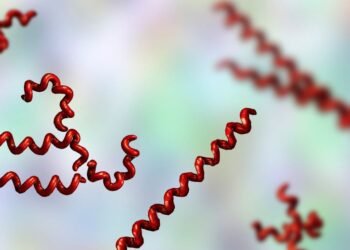 Syphilis cases increasing – Barbados Today