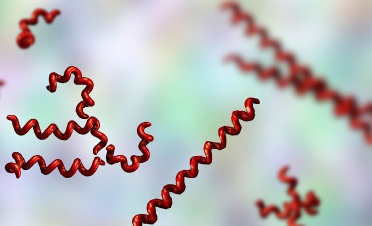 Syphilis cases increasing – Barbados Today
