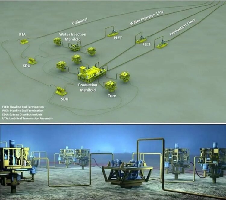 Govt still has no say in US$1B oil clean up fund