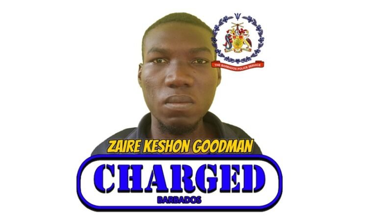 St Andrew man remanded on attempted murder charge