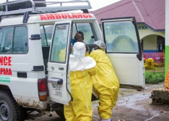 WHO sees no reason for panic after the case of Ebola in France
