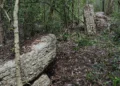 A team of Slovenian archaeoastronomers discovered a hitherto unknown Mayan city