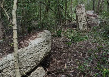 A team of Slovenian archaeoastronomers discovered a hitherto unknown Mayan city