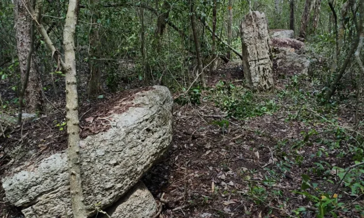 A team of Slovenian archaeoastronomers discovered a hitherto unknown Mayan city