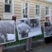 In Glas ljudstva on Roška cesta, an appeal was made to submit signatures for the referendum