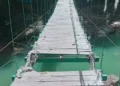 A married couple fell from a suspension bridge into the deep, the accident was fatal for them