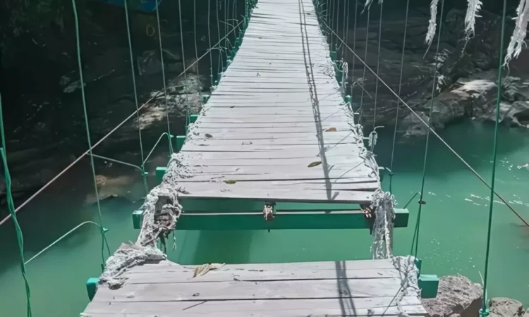 A married couple fell from a suspension bridge into the deep, the accident was fatal for them