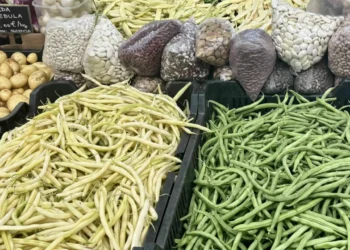 High beans impress with their taste