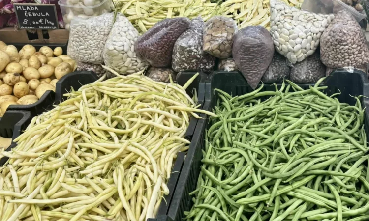 High beans impress with their taste