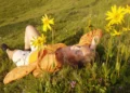 Calls to shorten summer vacations in Austria