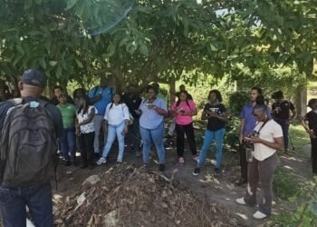 Young Vincentians help shape agriculture’s future through FAO-led inclusion initiative