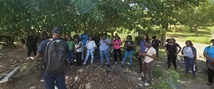 Young Vincentians help shape agriculture’s future through FAO-led inclusion initiative