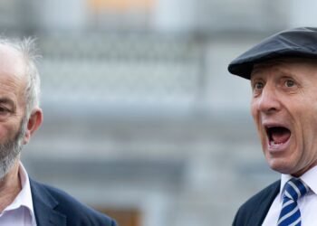 The Healy-Raes were seen as great gas. But there is little funny about their politics – The Irish Times