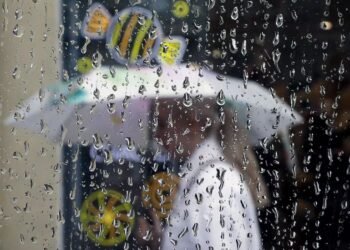 Storm alert in five departments for this morning – Climate