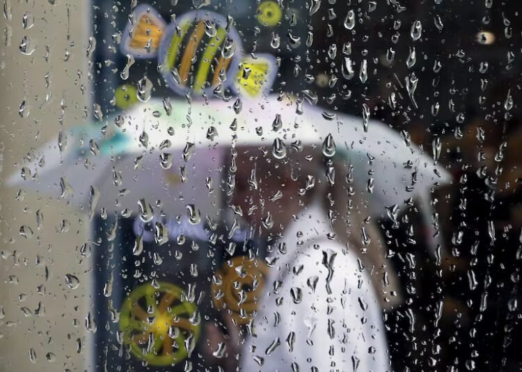 Storm alert in five departments for this morning – Climate