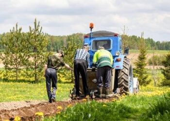 Expensive artificial fertilizers have crippled agricultural yields — does the Government have an ear for domestic production?
