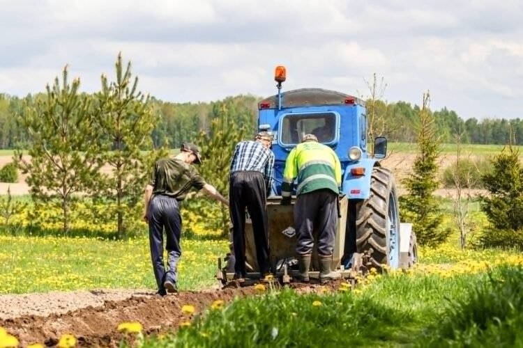 Expensive artificial fertilizers have crippled agricultural yields — does the Government have an ear for domestic production?