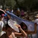For four years, over 200,000 people died from the heat in Europe