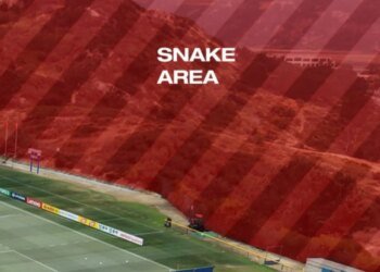 Swiss World Cup training camp infested with rattlesnakes