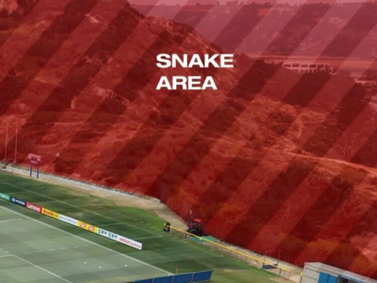 Swiss World Cup training camp infested with rattlesnakes