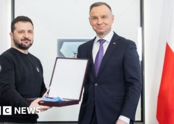 Zelensky stripped of Polish honour over WW2 name of army unit
