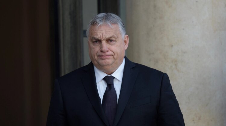 Viktor Orban was re-elected as the head of Fidesz after losing the elections