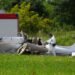 Adriatic coast: Four Austrians killed in Croatia plane crash