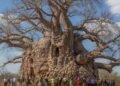 While other giants collapsed, he managed to stay standing: 20 people were needed to surround his body