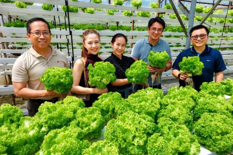 Agriculture can still be Sabah’s economic engine