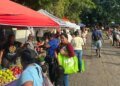 IMA Agrofairs this June 3: get to know the places nationwide