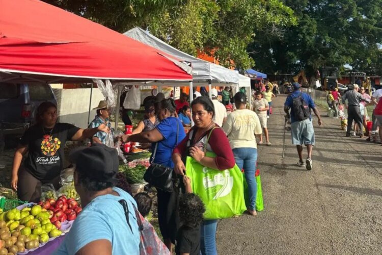 IMA Agrofairs this June 3: get to know the places nationwide