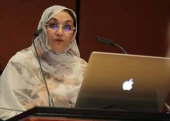 Geneva: The head of the Sahrawi Committee against the Moroccan Occupation participates in high-level human rights workshops and meetings