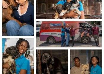 Angostura aids Jamaica recovery through JSPCA partnership