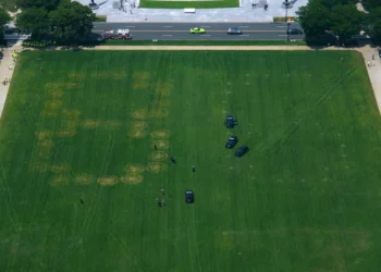 8647 on the National Mall: This is what the anti-Trump numbers on the lawn mean