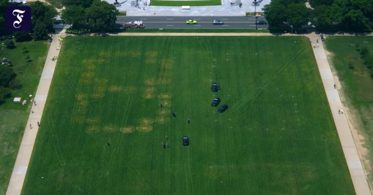 8647 on the National Mall: This is what the anti-Trump numbers on the lawn mean