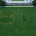 8647 on the National Mall: This is what the anti-Trump numbers on the lawn mean