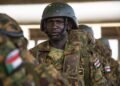 Seven European countries call for immediate end to violence in Sudan