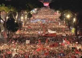 Three weeks of protests in Albania – it is reported about the organization of the diaspora