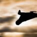 A Russian drone became entangled in power lines and knocked out power in 5 settlements