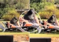 The couple, engrossed in their mobile phones, did not notice the “thief” between them, the baboon ate their snacks