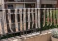 Experts called for ‘hang aluminum foil on the balcony all summer long’