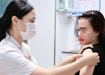 Doctors issue warning as Hanoi records first Japanese encephalitis case this year