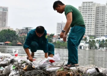 Ho Chi Minh City set to launch disaster monitoring software in September