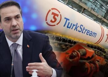 Türkiye sat down with Russia for natural gas
