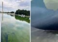 Millions of dollars spent on renovation: Trump’s pride pool stripped piece by piece