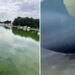 Millions of dollars spent on renovation: Trump’s pride pool stripped piece by piece