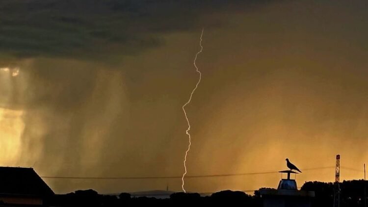 The apocalypse hit Bratislava. The city was lashed by extremely dangerous lightning and tornado-like winds – Home – News