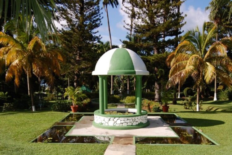 National Parks undertaking climate resilient propagation at Gardens