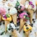Ombudsman intervenes over free ice cream for top pupils, ending beloved 25-year tradition