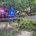 VIDEO: Bratislava was hit by the apocalypse. The city was lashed by extremely dangerous lightning and tornado-like winds – Home – News